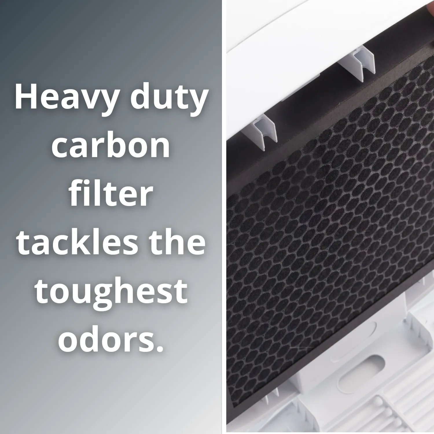 TrueCarbon™ 200C Air Purifier